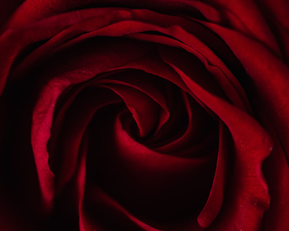 Axelle Reynaud - Thérapeute Archéologue du féminin