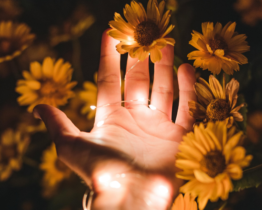 Accompagnement des personnes victimes de violences sexuelles