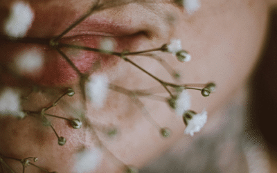 Titre de l’article à mettre ici lorem ipsum